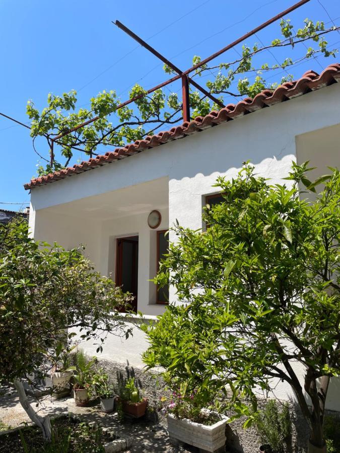 Vila Cano Hotel Durres Exterior photo