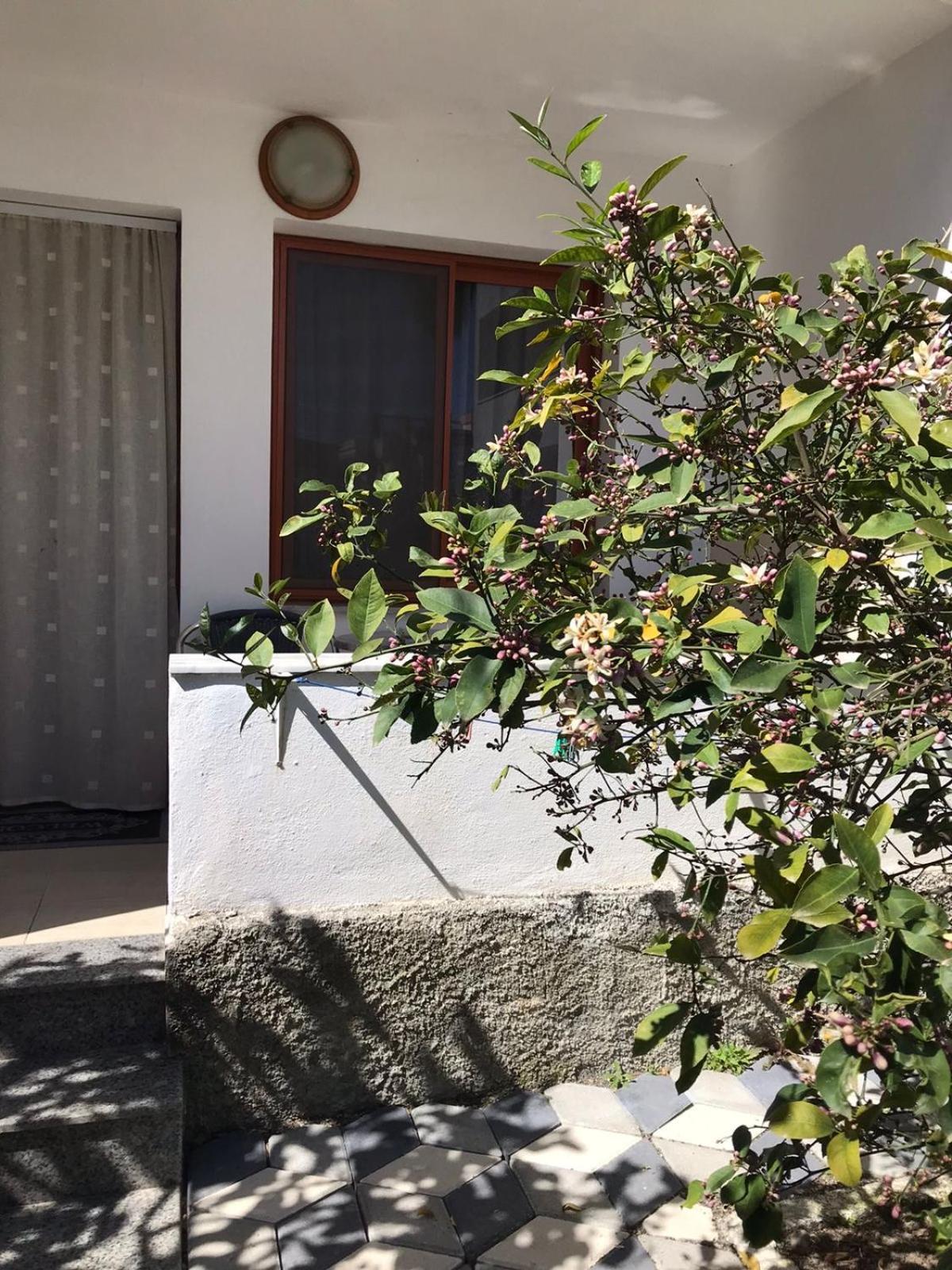 Vila Cano Hotel Durres Exterior photo